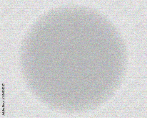 egg on a white background