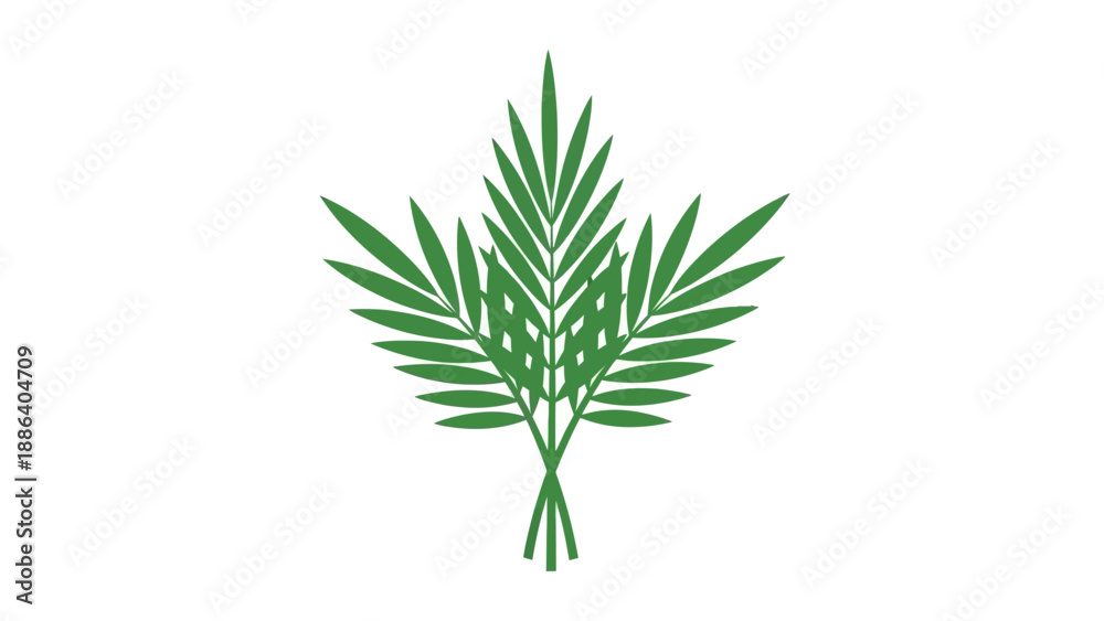 Fototapeta premium Green Palm Fronds Illustration Isolated White.