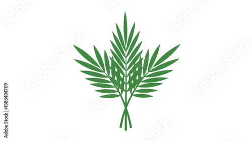 Green Palm Fronds Illustration Isolated White.