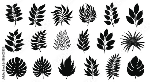 Collection of eighteen different black and white leaf silhouettes and branch icons for nature themed design.