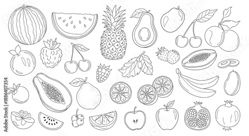 Extensive collection of various fruit line art drawings including watermelon pineapple banana avocado and berries.