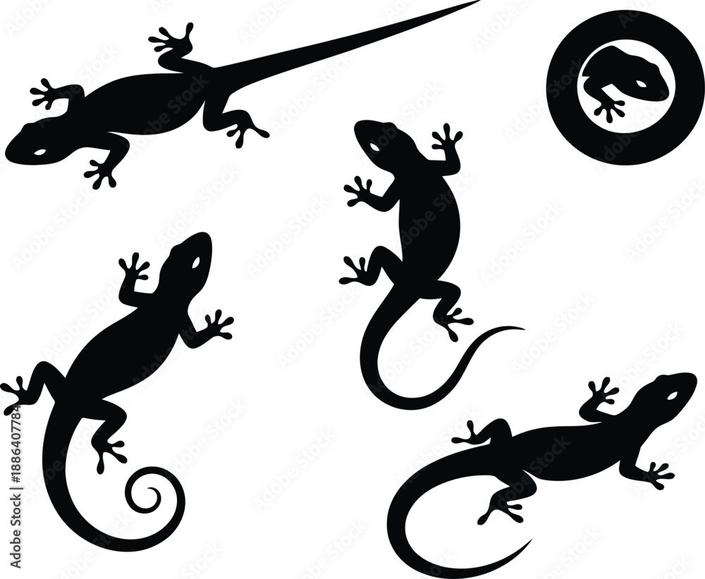 Fototapeta premium Vector black and white silhouette of a house lizard. Gecko Lizard Silhouette Collection – Minimal Black Reptile Vector Art.