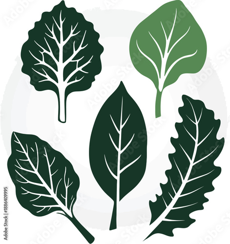 Photos Leafy vegetable silhouette icons featuring spinach, lettuce, cabbage, herbs, and