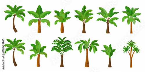 Collection of vibrant tropical palm trees and lush green foliage illustrations