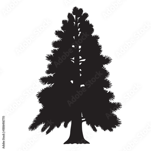 christmas tree isolated on white