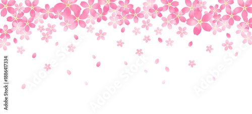 桜の背景イラスト