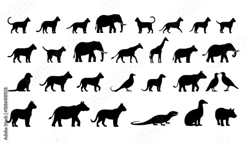 Animal silhouette vector set domestic wild and exotic animals