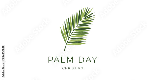 Palm Leaf for Palm Sunday Celebration.