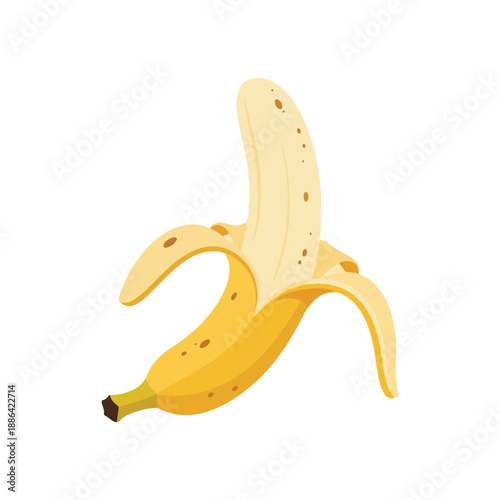 Peeled Banana Fruit Vector Illustration Ripe Tropical Snack