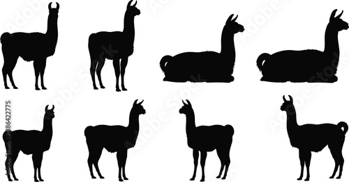 Vector Silhouette Set of Llamas and Alpacas in Various Poses Including Standing and Sitting Isolated on White Background for Farm and Wildlife Design
