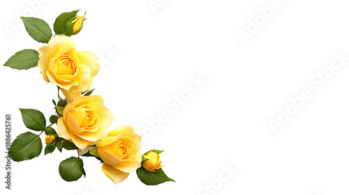 A bouquet of bright yellow roses, Textarea, isolated on a transparent background.