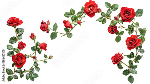 Red rose flowers and leaves in a corner floral arrangement, isolated on a transparent background.