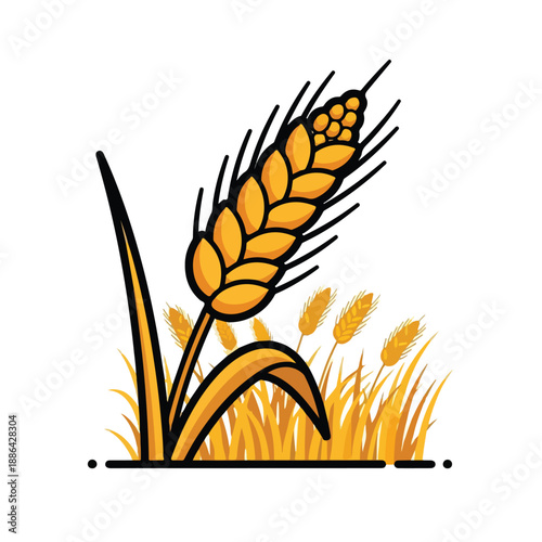 Golden Wheat Ears Illustration on White.