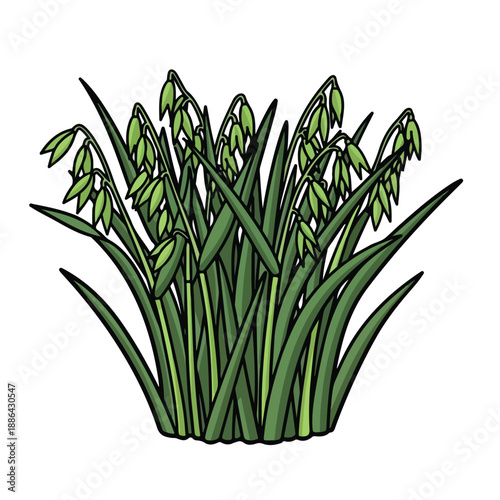 Green Bamboo Shoots with Leaves Illustration.