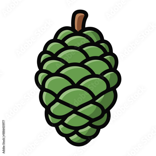 Green Hop Cone Illustration Art Design.