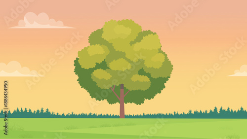 Gentle Spring Light Over Meadow