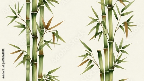 Bamboo stalks with green leaves and brown tips standing tall on a serene background from a straight viewpoint
