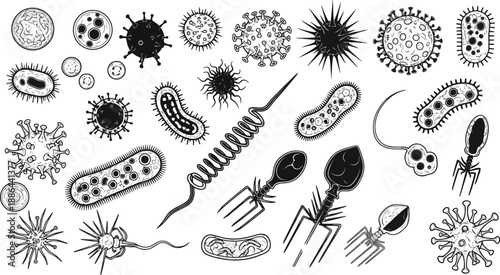 Collection of various bacteria and viruses in different shapes and forms