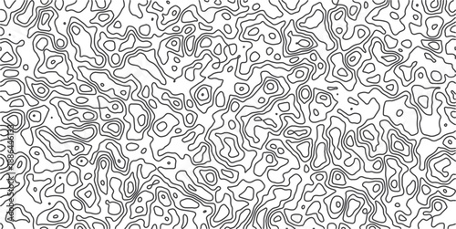 Abstract Lines Intricate Black & White