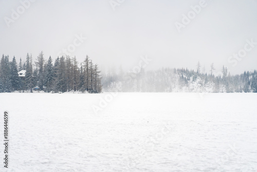 Obraz na plátne Scenic wide view of a snowy forest clearing with evergreen trees under a heavy gray winter sky
