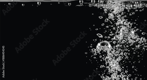 Clear Water Bubbles Rising on Black Background