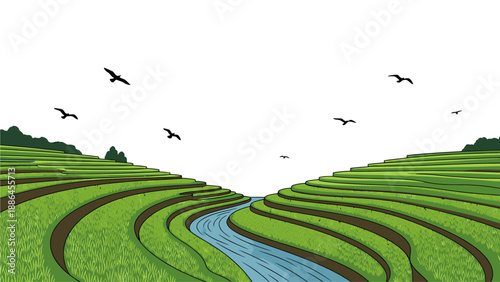 Aerial view of a serene landscape with a winding stream through green terraced fields and trees under a white sky with flying birds.