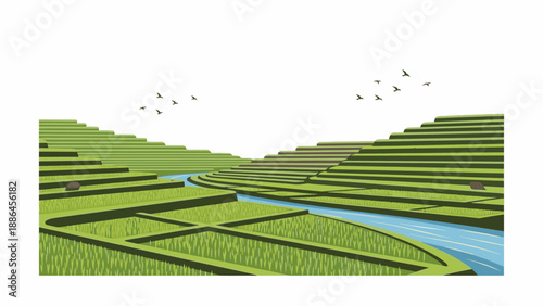 Aerial view of a serene landscape with a winding river flowing through green terraced fields under a clear sky with flying birds.