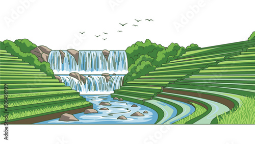 Illustration of a serene waterfall cascading into a winding river surrounded by lush green terraced fields and trees under a white sky with flying birds.
