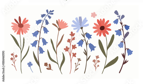 Hand drawn wild flower vector set with gerbera bluebell and chicory flowers