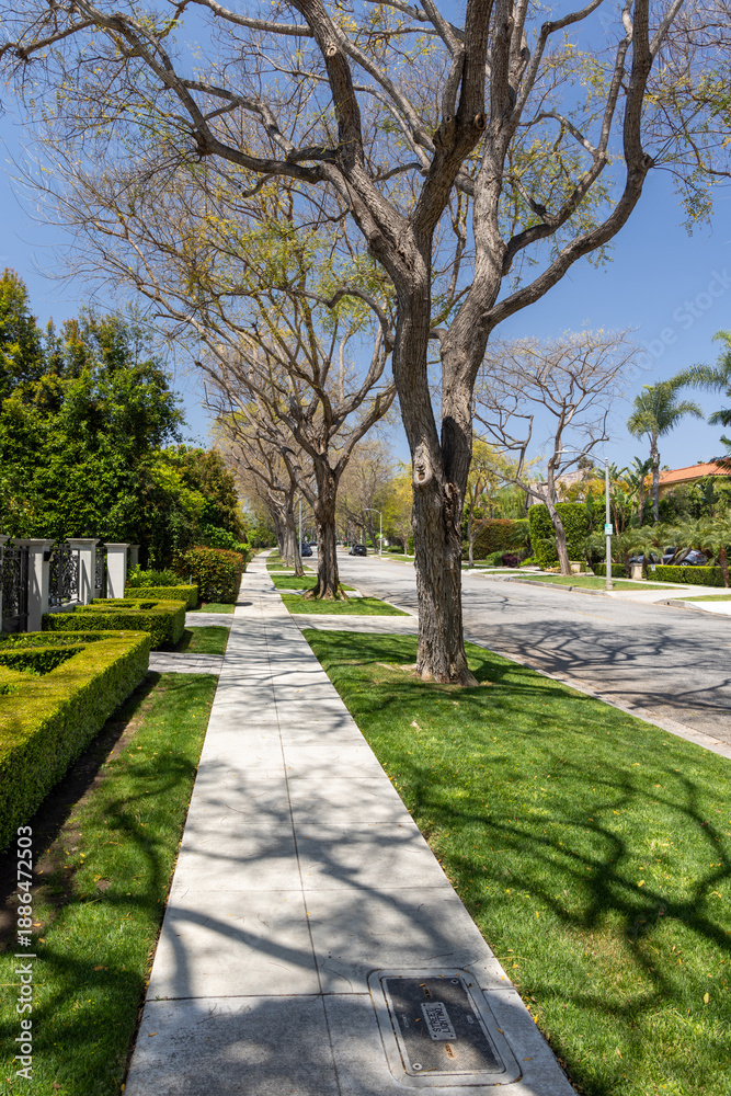 Obraz premium Suburban street with houses in the Los Angeles area