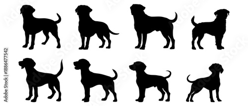 Dog breed silhouette set. Labrador retriever in various poses.