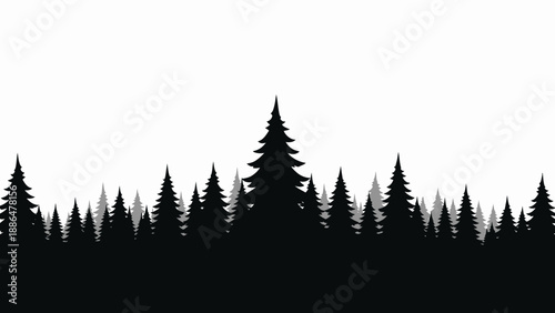 Silhouette of coniferous trees forest landscape.