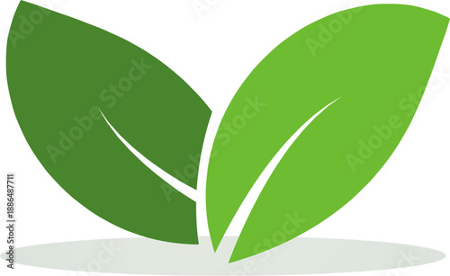 sketch vector illustration design icon logo symbol eco-friendly nature modern minimalist leaf plant tree for green natural company that is concerned about the environment