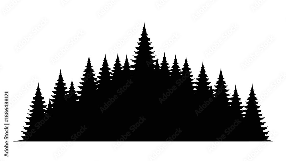Obraz premium Silhouette of Evergreen Pine Trees Forest.