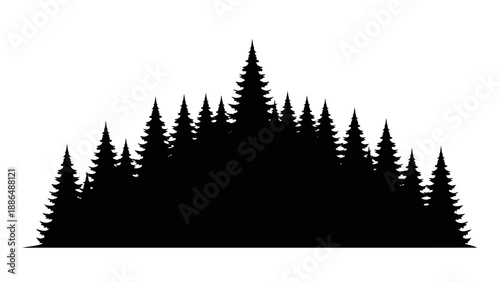 Silhouette of Evergreen Pine Trees Forest.