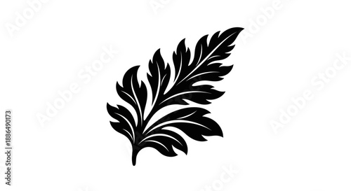 Intricate Black Silhouette of a Fern Frond with Detailed Leaflets.