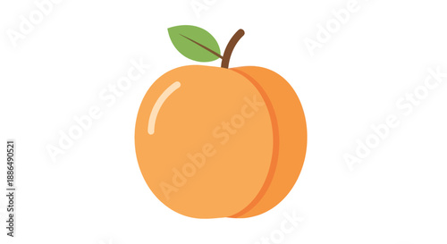 A simple flat vector illustration of a ripe orange apricot with a green leaf and stem.