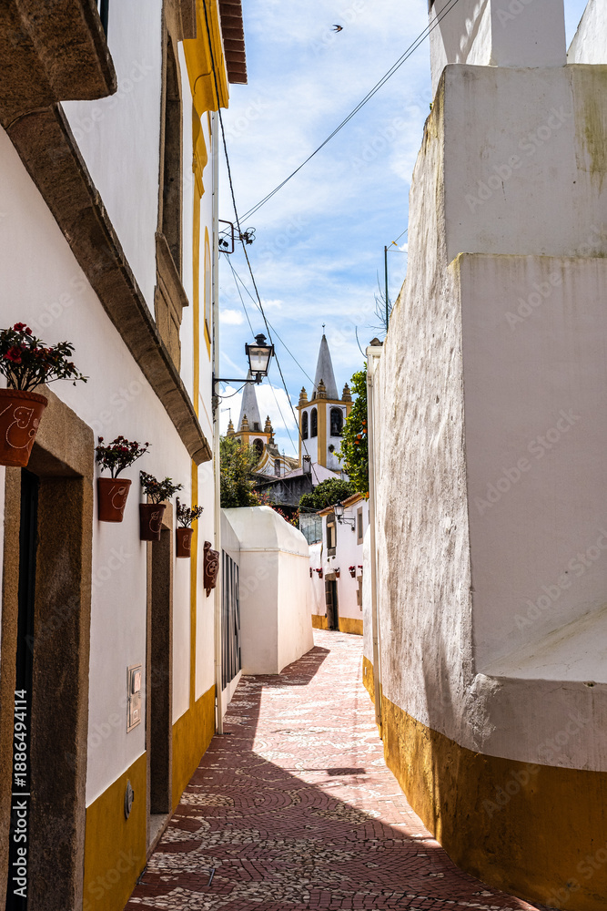 Obraz premium Beautiful narrow cobblestone Rua de Santa Maria street in the traditional village of Nisa, in Alentejo, Portugal