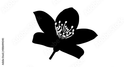 Stylized Black Flower Silhouette with White Stamens.