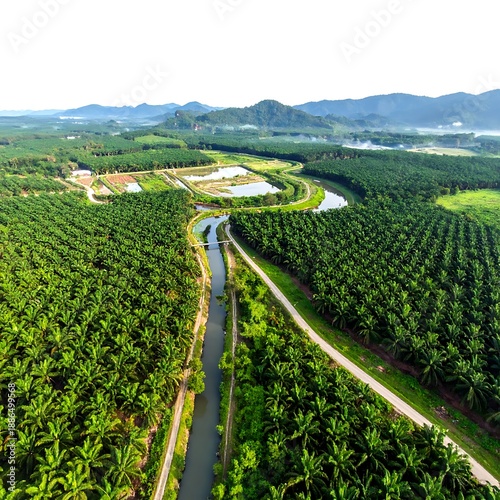 Aerial view of a lush green plantation bisected by a canal, leading to ponds under distant rolling hills