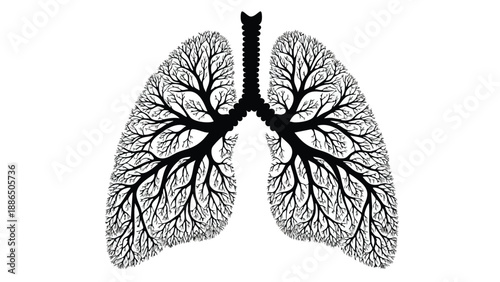 A detailed illustration of human lungs with bronchi and blood vessels on transparent background