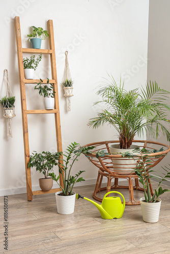 Interior of light room with...