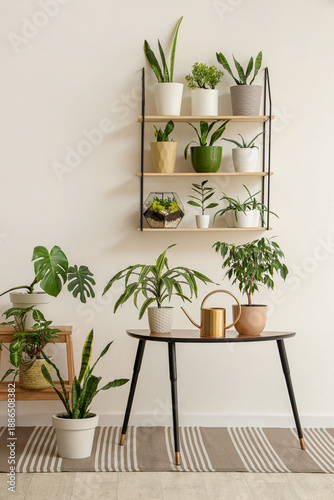 Interior of light room with...