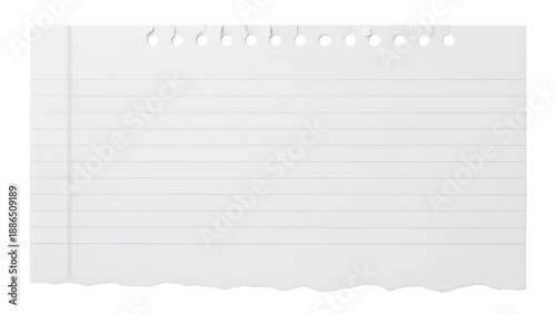 Photos Lined notebook paper isolated PNG on transparent background, torn sheet with hol