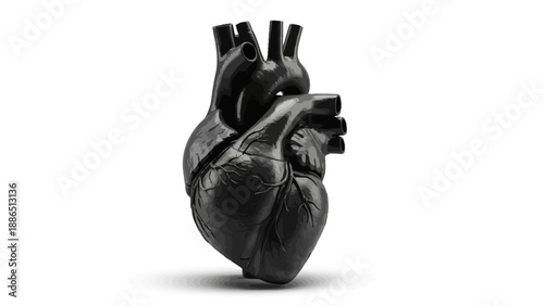 Detailed hand-drawn monochrome illustration of human hands forming a heart shape, an iconic gesture representing affection, solidarity, and tender connection