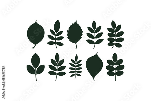 Collection of various leaf and plant illustrations on transparent background
