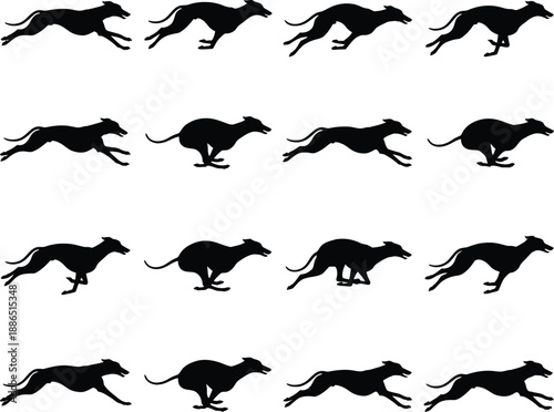 Running Greyhound Dog Silhouette Set Fast Whippet Racing Vector