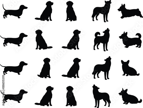 Running Greyhound Silhouette Set Motion Sequence Sighthound Racing Vector