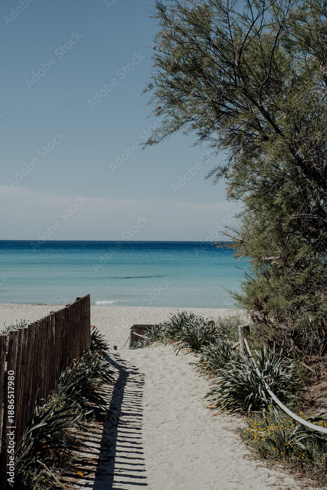 Fototapeta premium Traumhafter Strand mit kristallklarem, türkisblauem Wasser auf Formentera