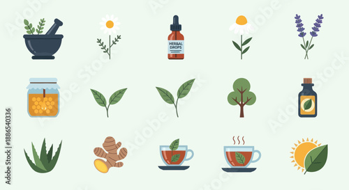 Collection of Herbal Remedies and Natural Ingredients Illustrations.